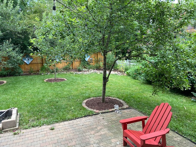 view of yard with a patio