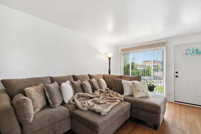 living room with hardwood / wood-style floors