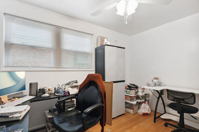 home office featuring light hardwood / wood-style floors and ceiling fan