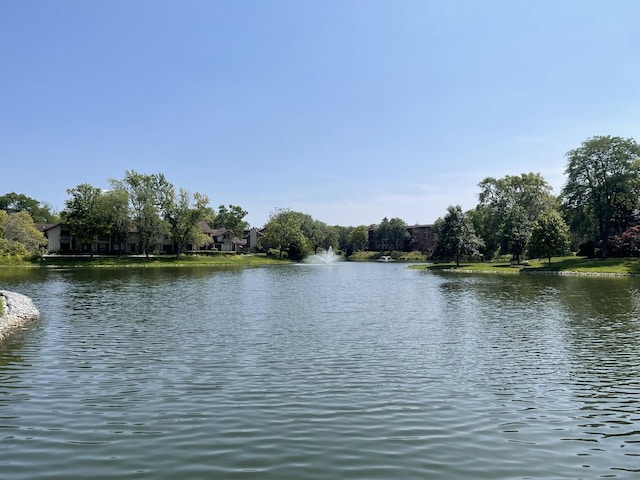 property view of water