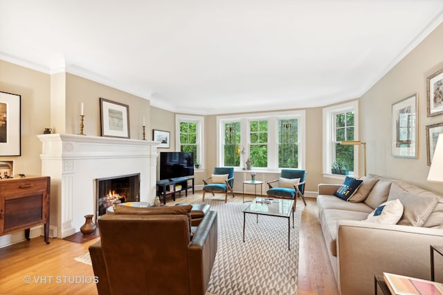 living room featuring ornamental molding, light hardwood / wood-style flooring, and plenty of natural light