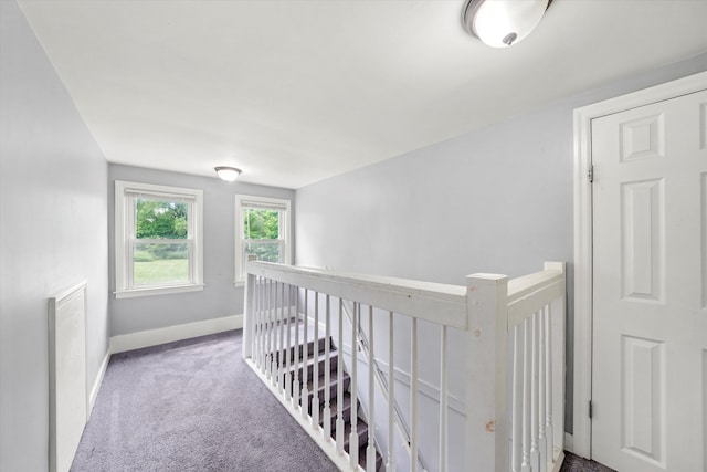 hallway featuring carpet floors