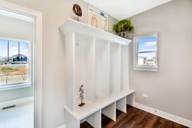 mudroom featuring dark hardwood / wood-style flooring and plenty of natural light