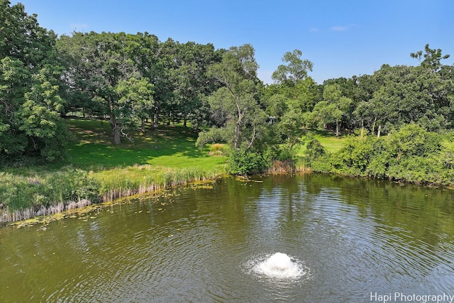 view of water feature