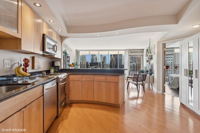 kitchen with light wood-type flooring, stainless steel appliances, a raised ceiling, and kitchen peninsula