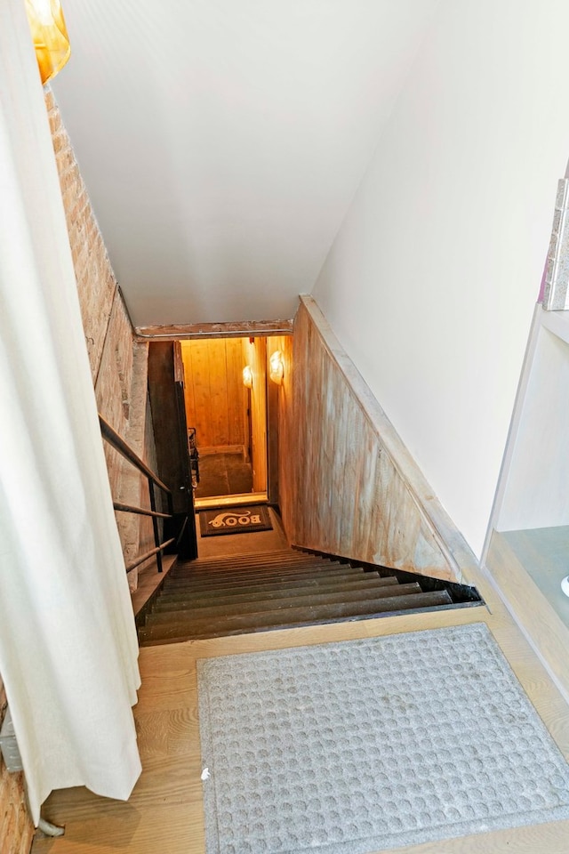 stairs with wood-type flooring and wood walls