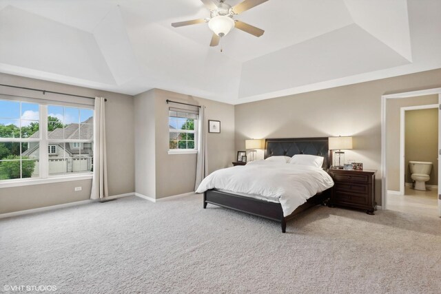 carpeted bedroom featuring multiple windows, baseboards, and a tray ceiling