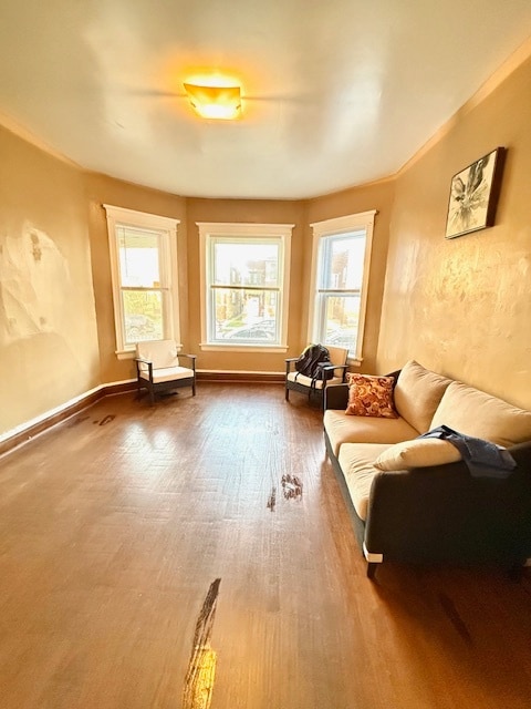 sitting room featuring hardwood / wood-style flooring