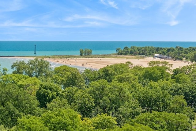 water view featuring a beach view