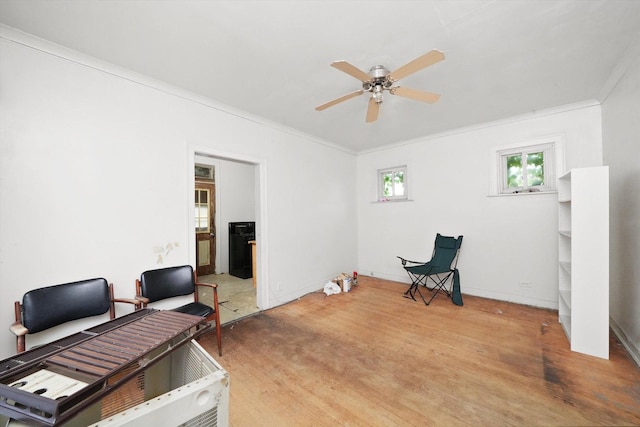 office space featuring ceiling fan, crown molding, baseboards, and wood finished floors