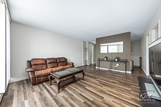 living room with hardwood / wood-style floors