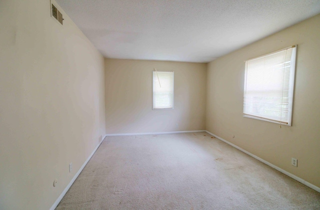 unfurnished room featuring a wealth of natural light, light colored carpet, and a textured ceiling