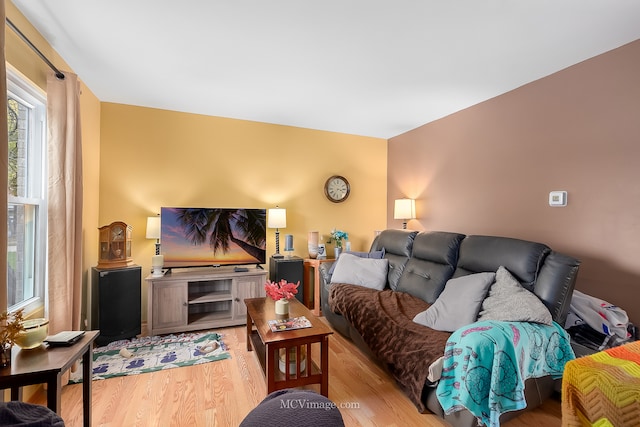 living room with light wood-type flooring