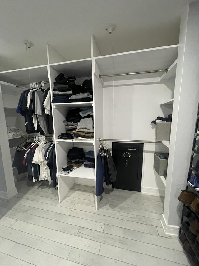 view of closet