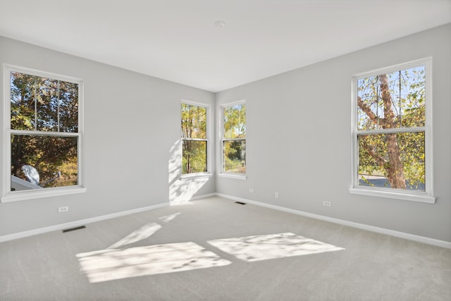 empty room featuring carpet and a wealth of natural light