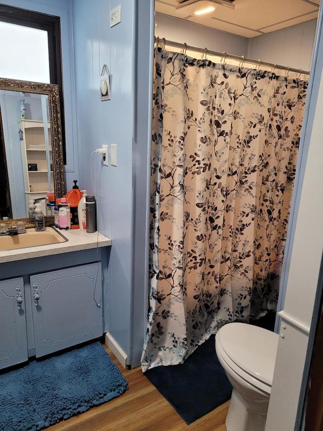 bathroom with toilet, hardwood / wood-style floors, and vanity