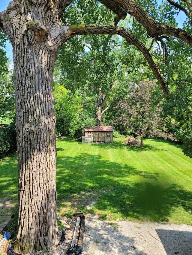 view of yard with an outbuilding