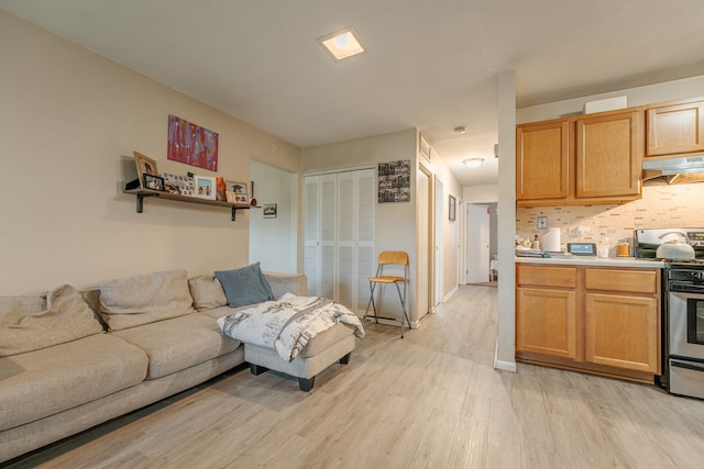 living room featuring light hardwood / wood-style floors