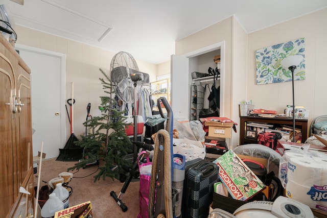 interior space featuring a closet and carpet flooring