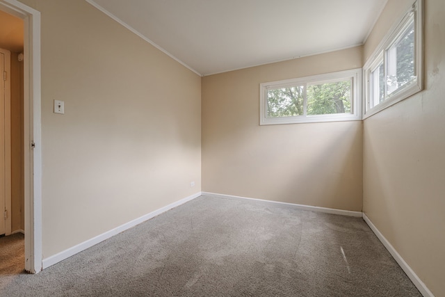 carpeted spare room featuring ornamental molding