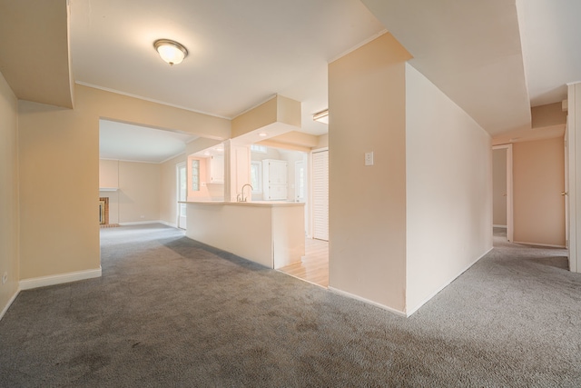 spare room featuring light carpet and crown molding