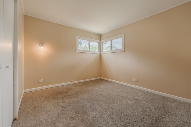 spare room with carpet flooring