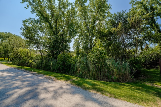 3306 E Forestview Trl, Crete IL, 60417 land for sale