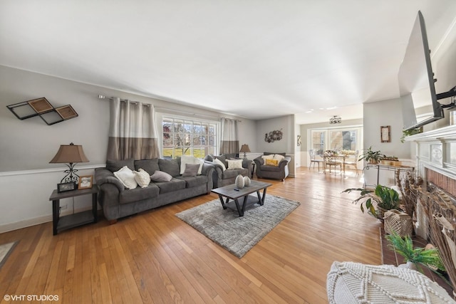 living room featuring a fireplace and light wood-type flooring