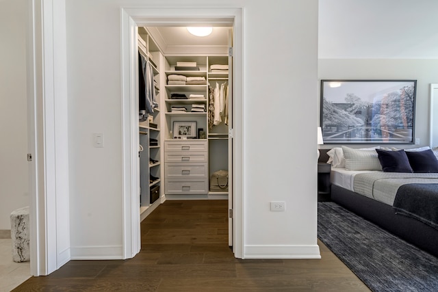 walk in closet with dark hardwood / wood-style flooring