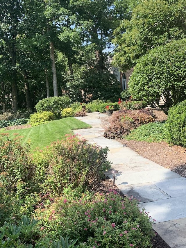 view of home's community featuring a yard