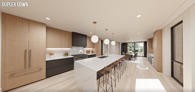 kitchen featuring a spacious island, light hardwood / wood-style flooring, light stone counters, and sink