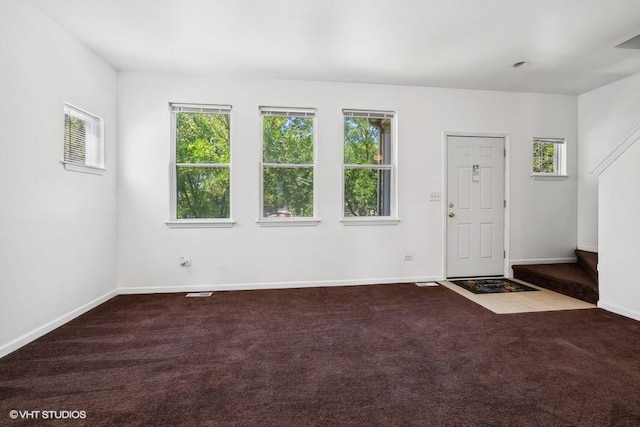 foyer entrance with carpet flooring