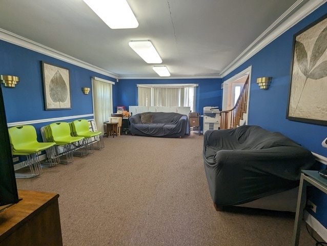 interior space with carpet and ornamental molding