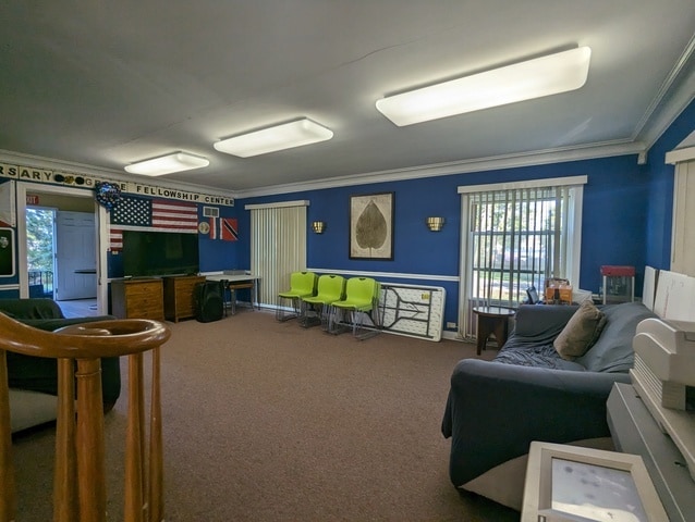 recreation room with carpet floors and crown molding