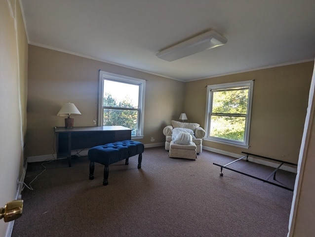 living area with carpet floors and crown molding