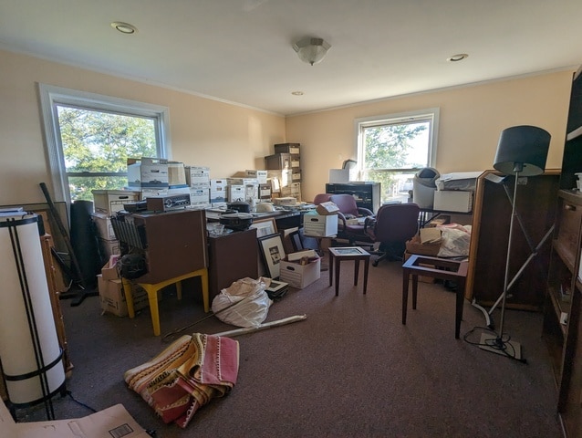 office area with carpet flooring and crown molding