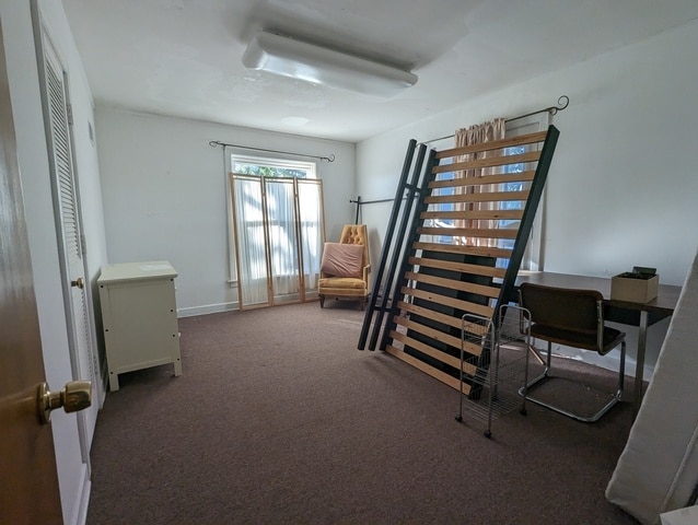 home office featuring carpet floors