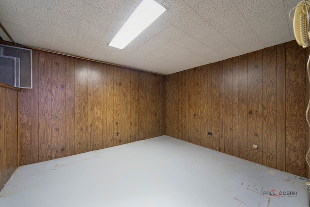 basement with wood walls