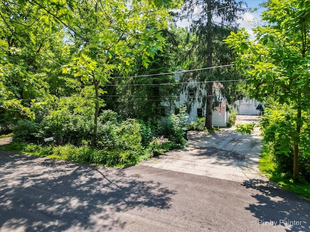 view of property hidden behind natural elements featuring a garage