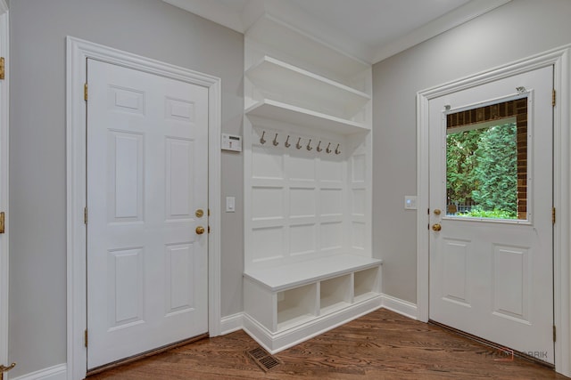 mudroom featuring dark hardwood / wood-style flooring