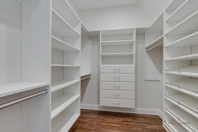 spacious closet with dark wood-type flooring