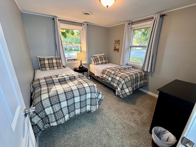 carpeted bedroom featuring multiple windows