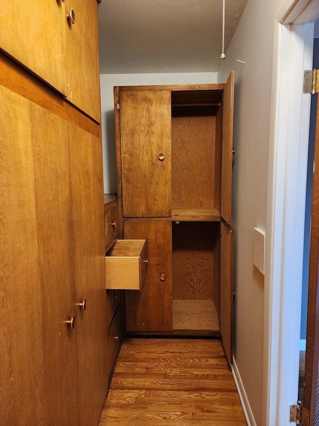 walk in closet with hardwood / wood-style flooring