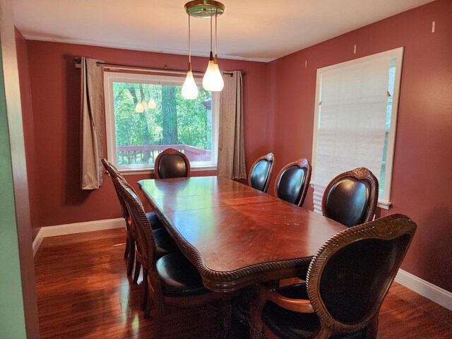 dining room featuring wood-type flooring