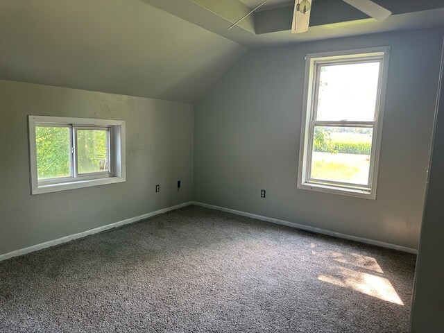 bonus room featuring ceiling fan, vaulted ceiling, plenty of natural light, and carpet flooring