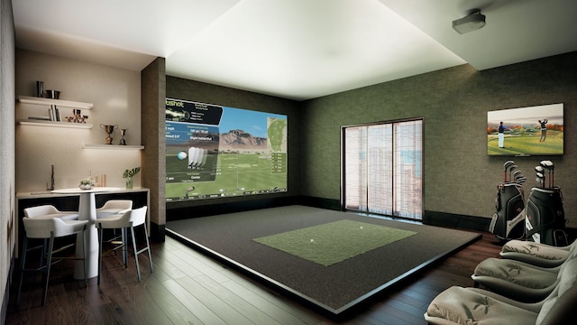 recreation room featuring dark hardwood / wood-style floors and golf simulator