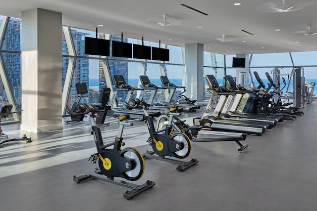 exercise room with a wall of windows and a wealth of natural light