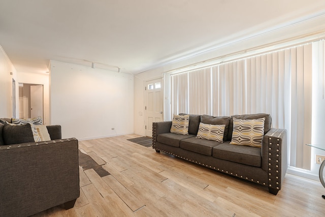 living room featuring light wood-type flooring