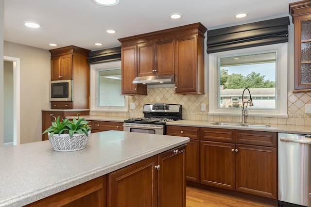 kitchen featuring tasteful backsplash, light hardwood / wood-style flooring, appliances with stainless steel finishes, and sink