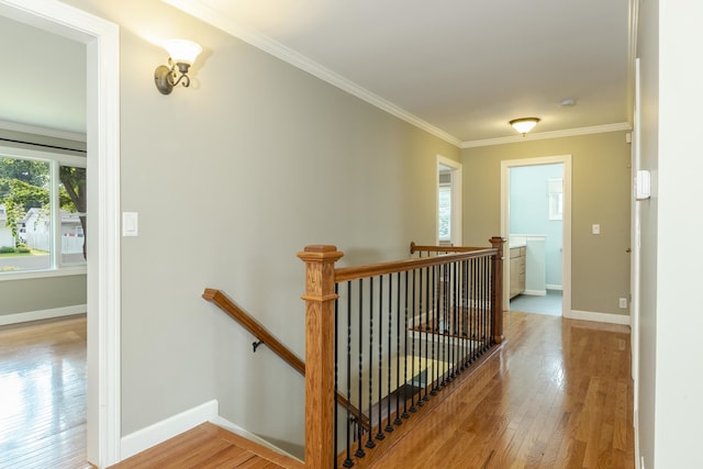 corridor with crown molding and light wood-type flooring